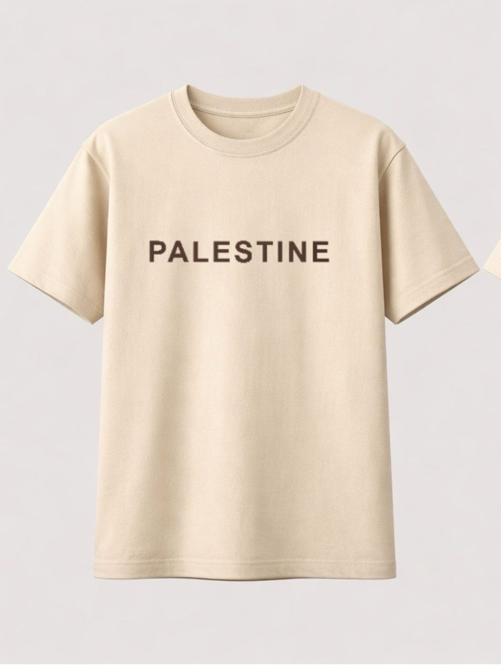 Palestine T-Shirts